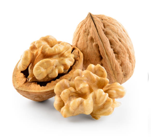 Walnut